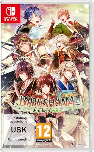 Reserva abierta de Birushana: Winds of Fate (Nintendo Switch)